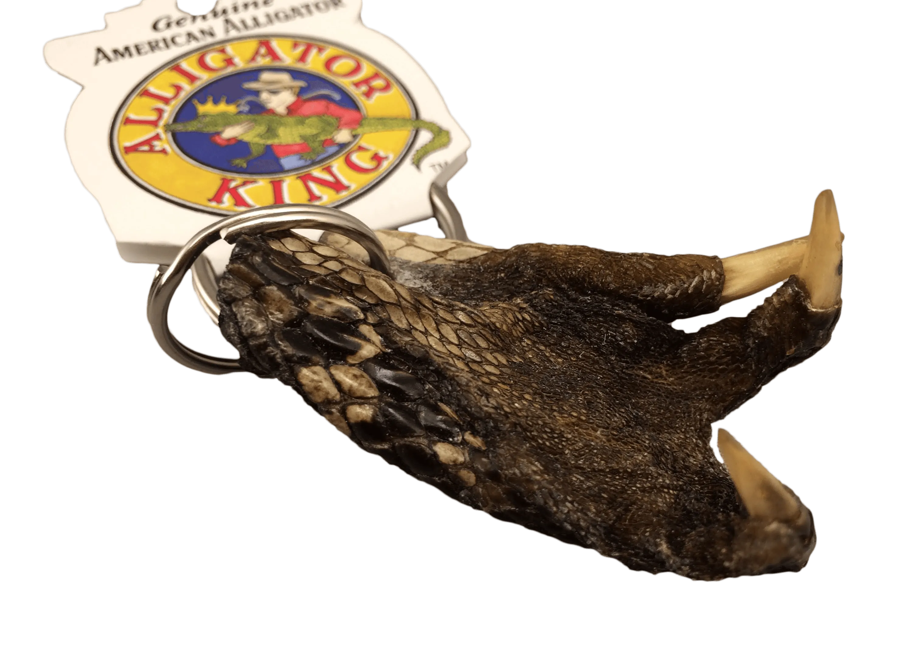 Alligator Foot Key Ring